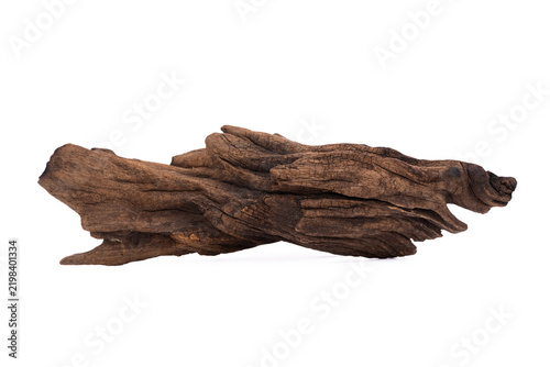 Driftwood aged wood isolated on white background. Piece of driftwood driftwood close up for aquarium.