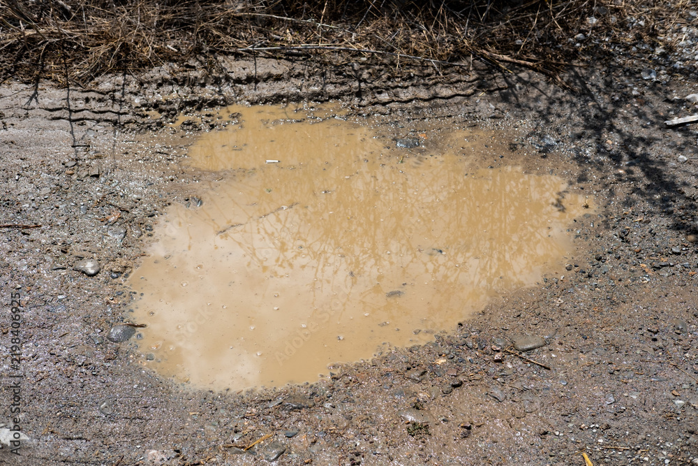 Naklejka premium Mud puddle on a dirt road reflecting dry branches and sunny sky after a rain shower in nature
