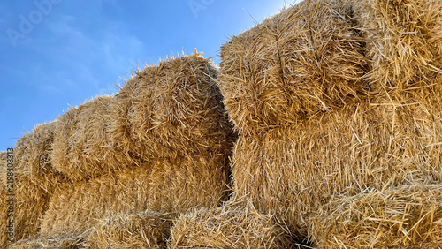 Foto Stacked bales of golden straw under a bright blue sky, representing agricultural