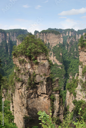 Фотография South Sky Pillar as Avatar Hallelujah Mountain with resilient, ancient trees at