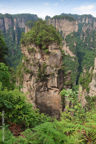 Foto South Sky Pillar as Avatar Hallelujah Mountain with resilient, ancient trees at