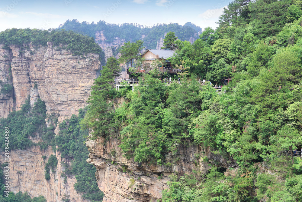 Fototapeta premium Quartz-sandstone pillars with resilient, ancient trees and visitors at platform at Yuanjiajie Scenic Area in Zhangjiajie National Forest Park, Hunan Province of China