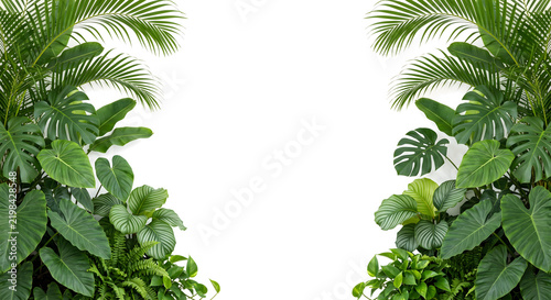 Tropical plant leaves frame isolated on transparent background