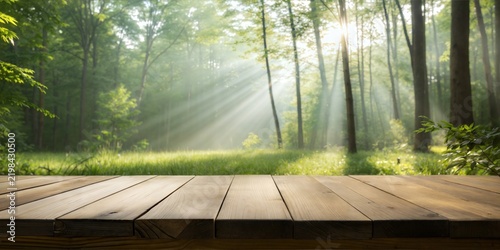 Sunlight is streaming through the tall forest trees, casting bea