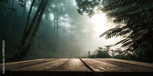 The Enigmatic and Mysterious Forest, Filled with Misty Soft Ligh