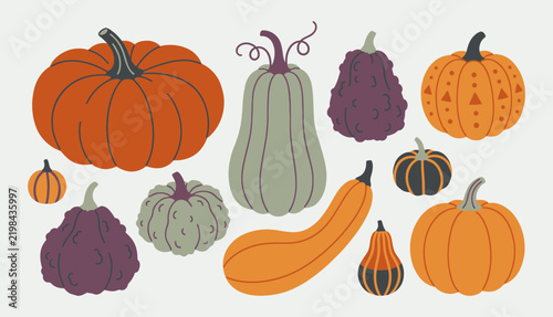 Autumn harvest pumpkins and colorful gourds flat vector illustration set