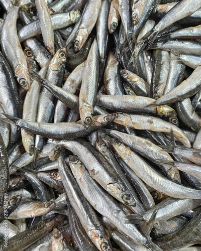 Small anchovy fish background