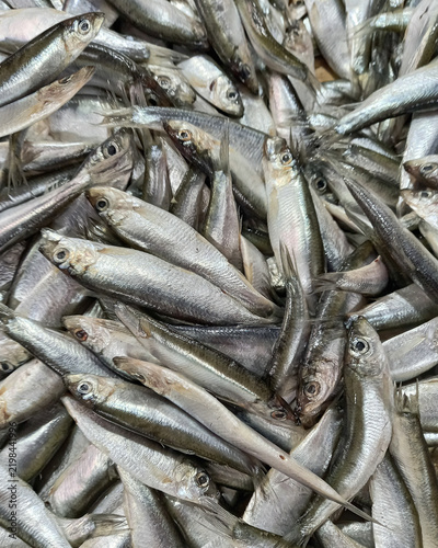 Heap of small Mediterranean anchovy fish at market tray