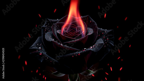 A beautiful dark black rose with glowing orange flames and water droplets on a black background.