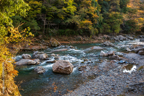 Plakat 秋の紅葉に彩られた渓流