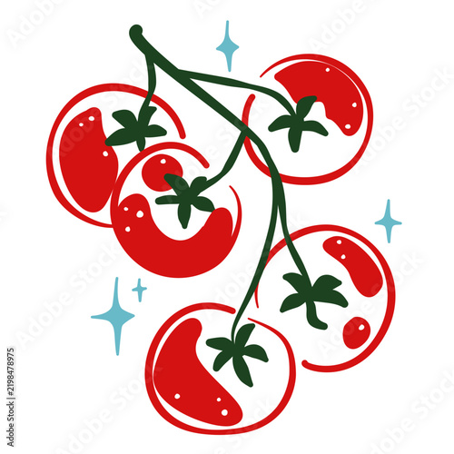 cherry tomatoes vector illustration