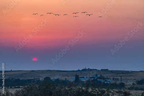 Landscape with a sunset and birds in the sky
