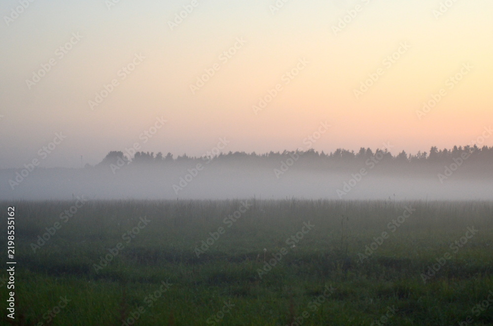Obraz premium A beautiful panoramic view of a vast grassy field covered in a heavy layer of white mist. Silhouettes of a distant forest stand under a soft gradient twilight sky at sunrise or dusk.