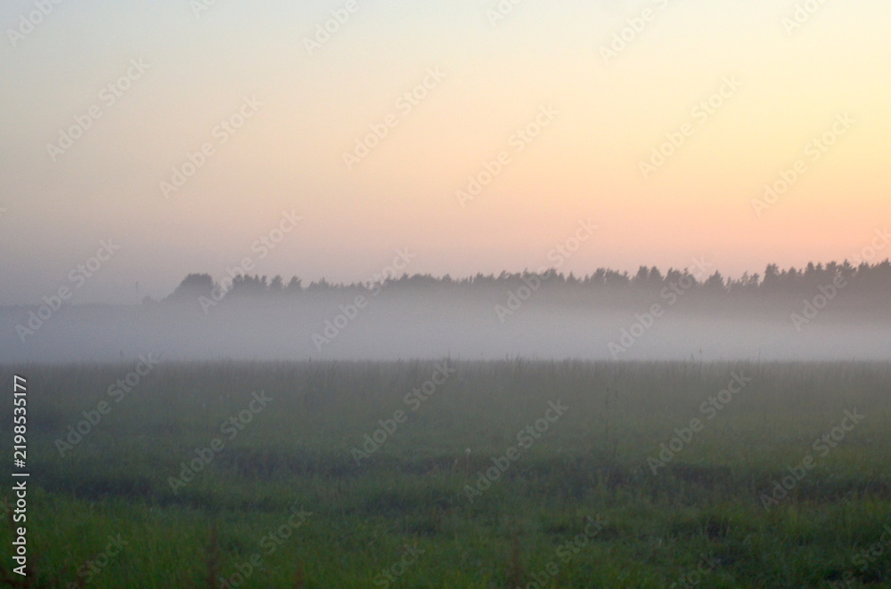 Obraz premium A beautiful panoramic view of a vast grassy field covered in a heavy layer of white mist. Silhouettes of a distant forest stand under a soft gradient twilight sky at sunrise or dusk.