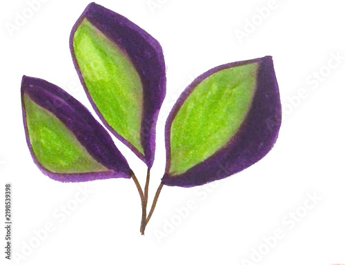 Green leaves on a thin branch watercolor botanical illustration isolated on white