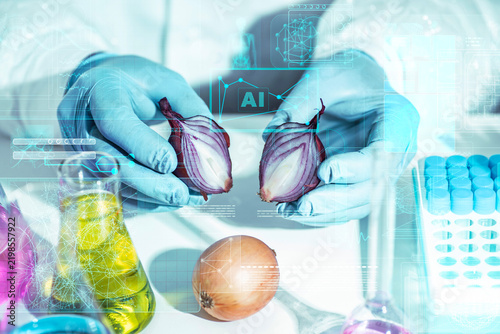 Cuadro en lienzo Onion, laboratory, scientific food analysis with gloved hands testing vegetable composition for quality control, GMO screening and artificially grown product checks