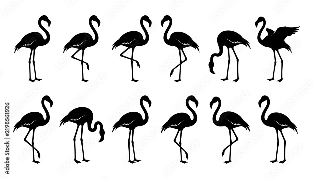 Obraz premium Set of flamingo silhouettes in various poses, collection of tropical birds