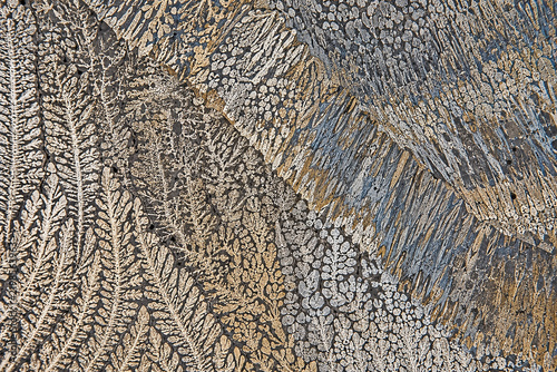 Weld Metal Solidification Microstructure Dendritic Grain Macro Background