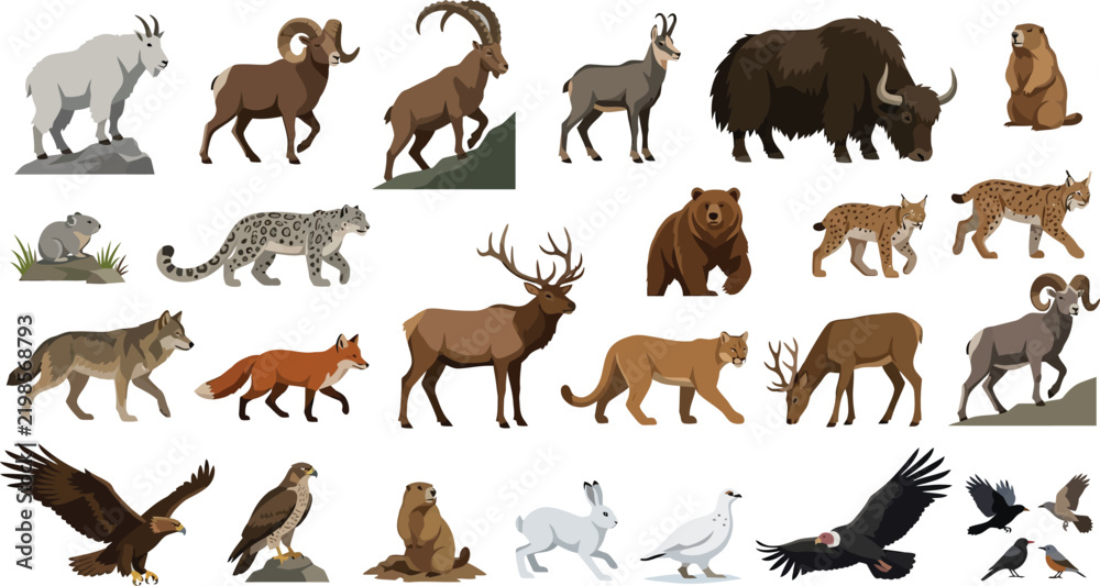 Fototapeta premium Wild Mountain Fauna Collection Vector Illustration Isolated on White