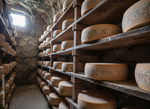 Cheese wheels maturing on cave shelves, surfaces showing honest wear and use, soft directional daylight