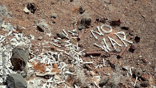 Animal bones arranged to spell NO WAR on a desolate, rocky terrain, conveying a powerful anti-war message and the urgent concept of peace and global disarmament