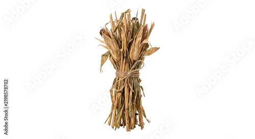 A rustic bundle of dried corn stalks and husks tied together with natural jute twine string