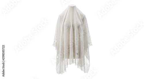 Obraz na plátne White ghost costume made of distressed fabric draped over a mannequin on a plain