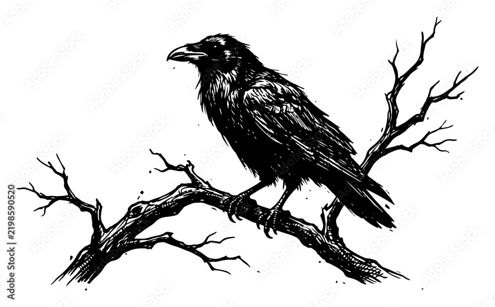 Obraz premium Raven perched on bare tree branch in detailed vintage engraving style