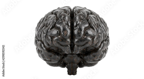 Obraz na płótnie Detailed 3D model of a human brain with a dark metallic texture isolated on a wh