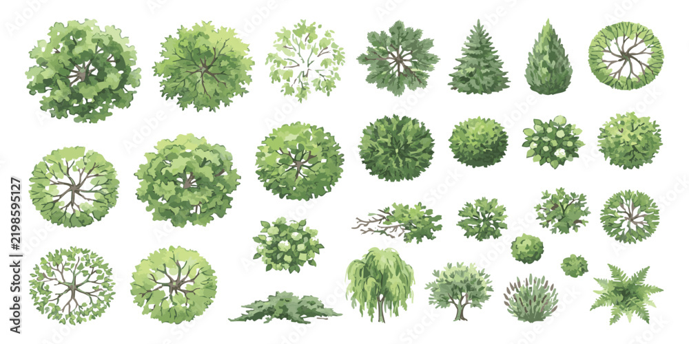 Fototapeta premium Set of top view trees and bushes for architectural landscape design plans and exterior map site development