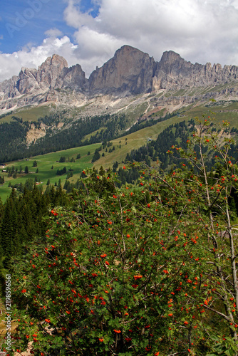 il gruppo del Catinaccio con la Roda di Vael e il Vajolon (Val di Fassa, Trentino)