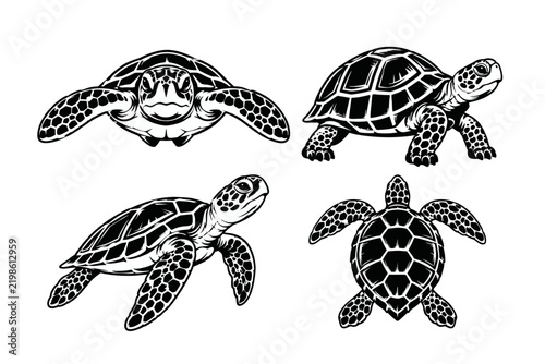 turtle.ai