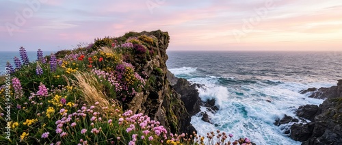 Wildflowers On Rugged Coastal Cliffs At Sunset