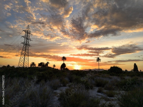 Sunset in the countryside of Elche, in the province of Alicante, Spain.