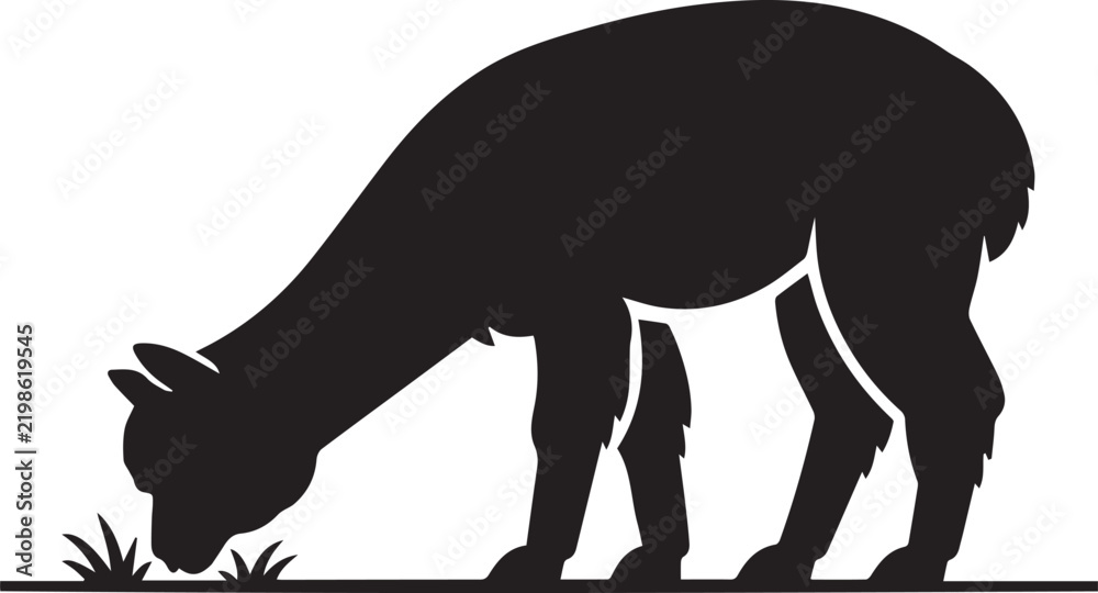 Obraz premium A minimalist black and white graphic design featuring a grazing alpaca in a clean artistic silhouette