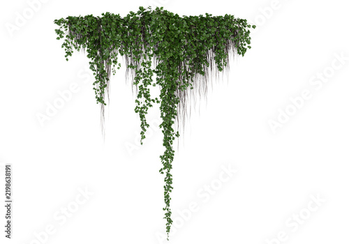 Lush green ivy vines hanging down with creeping stems and leaves, isolated on transparent background. Perfect for architectural visualization, natural frames, and graphic design.