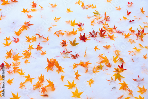 autumn leaves background