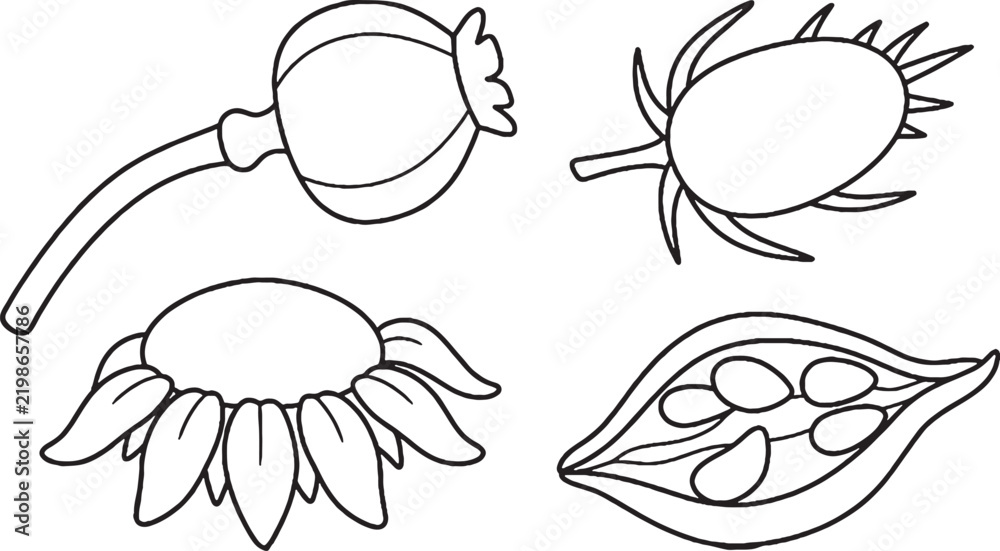 Fototapeta premium Easy Halloween Dried Plants Kids Coloring Page