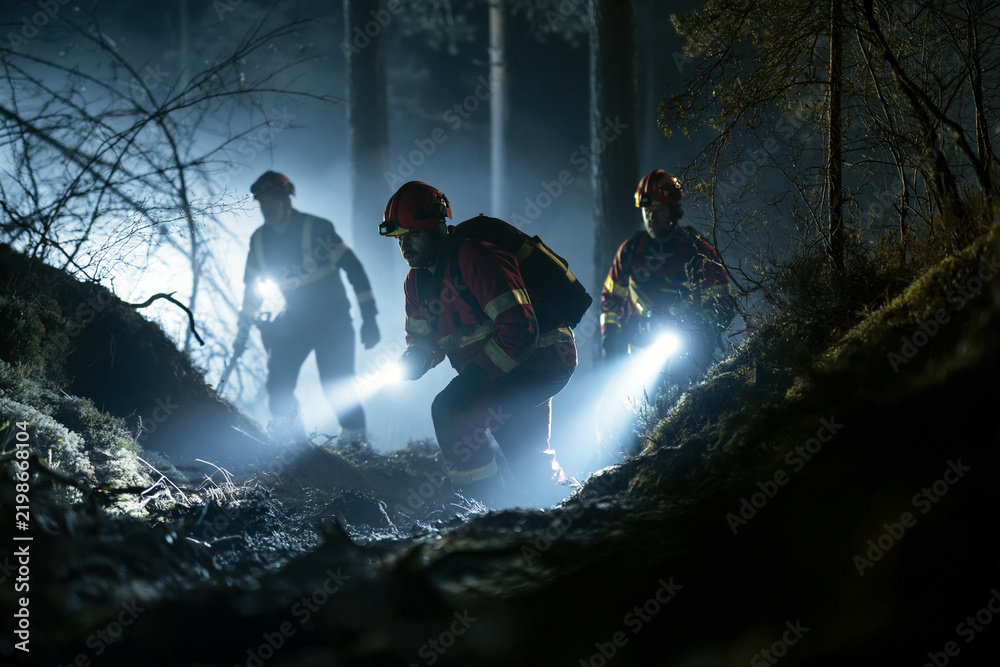 Obraz premium Firefighters navigate dark forest trails with powerful flashlights. They move cautiously through damp, mossy terrain. Their focused expressions show urgency and determination