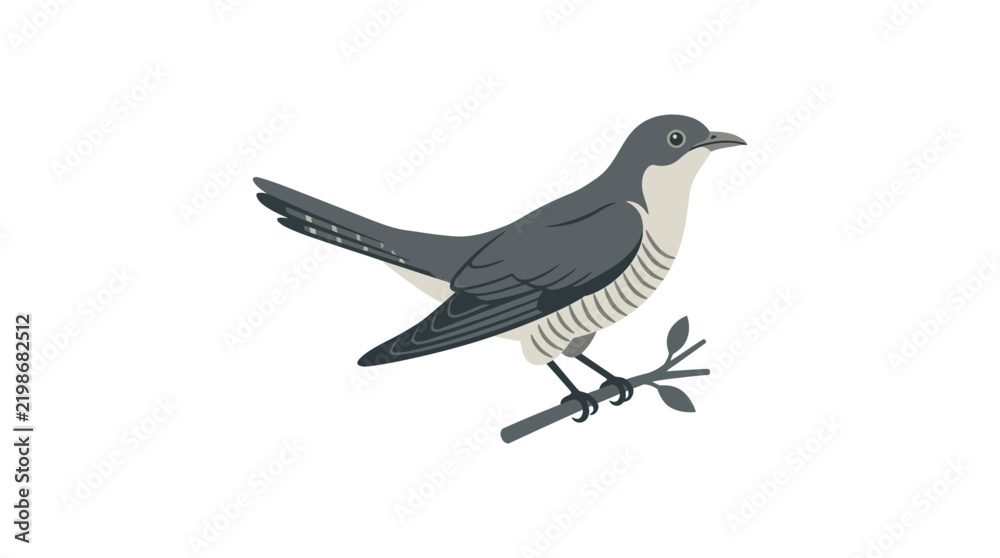 Obraz premium Common Cuckoo Bird Vector Illustration