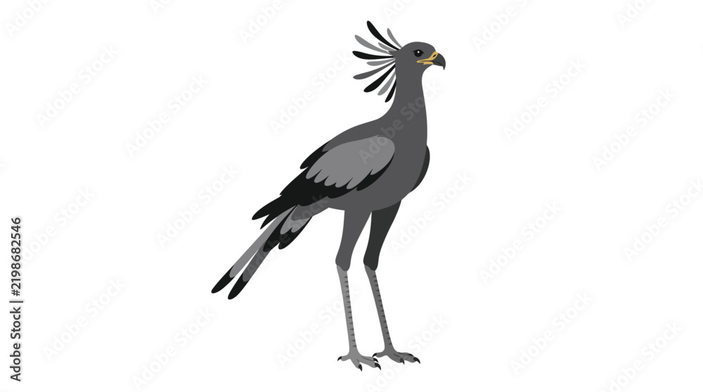 Fototapeta premium Secretary Bird Vector Illustration