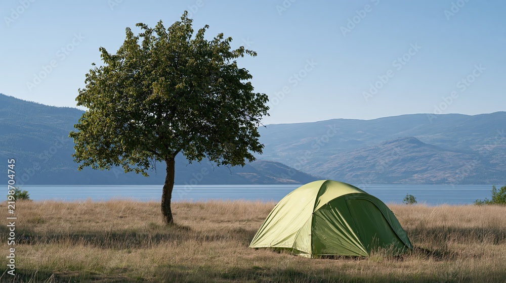 Obraz premium Camping tent on lakeside meadow, solitary tree with morning mist mountain landscape, outdoor camping scene, mountain lake forest vacation scenery