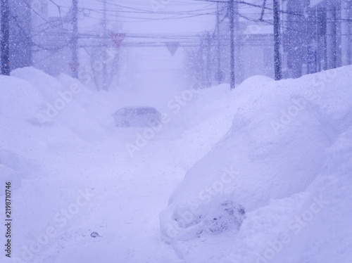 豪雪の道