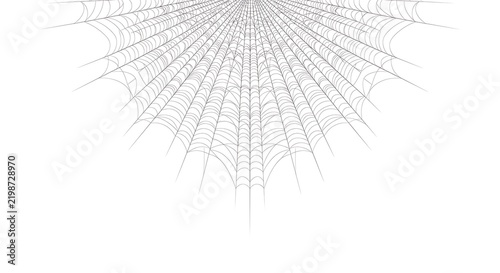 A black and white image of a spider web with intricate details