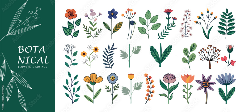 Fototapeta premium Set of colorful hand drawn botanical flowers and leaf elements for nature design