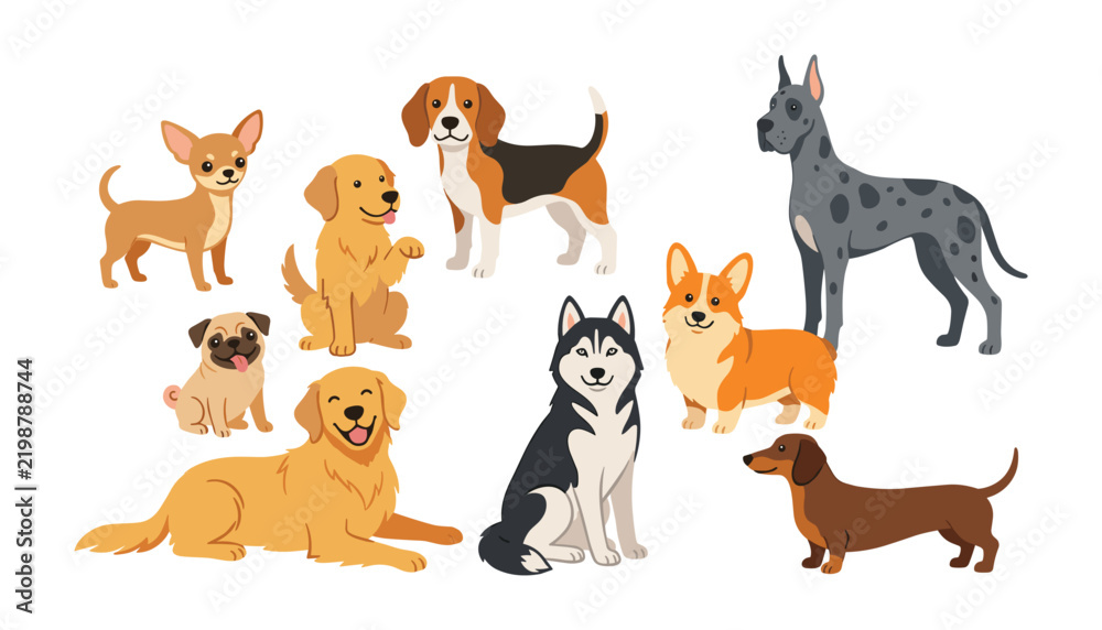 Fototapeta premium Vector collection of popular domestic dog breeds featuring happy cartoon husky corgi retriever pug dachshund beagle and chihuahua