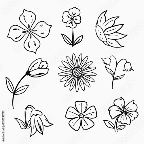 Hand Drawn Floral Flower Petal and Leaf Set for Wedding Invitations Cards and Botanical