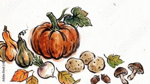 Watercolor and ink sketch illustration of various autumn harvest vegetables and crops on white background