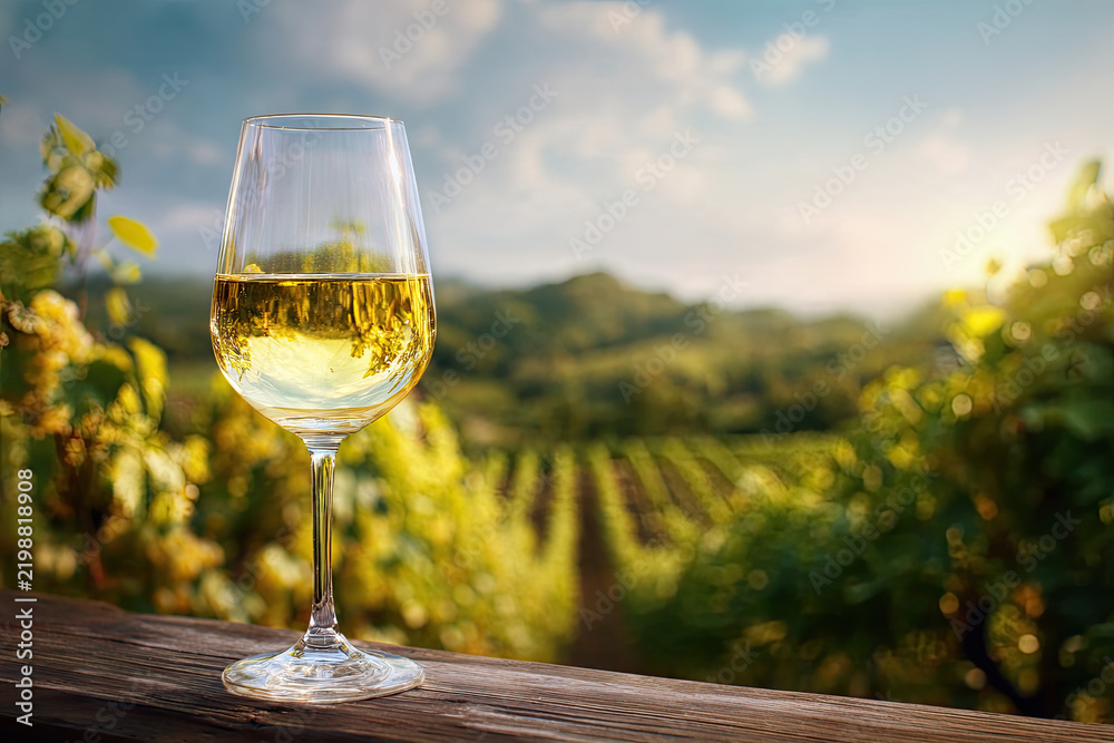 Obraz premium Wine glass with pouring white wine and vineyard landscape in sunny day. Winemaking concept
