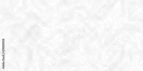 Abstract minimal pattern discovery topo map creative discovery White wave grid stripe line map topography. vector geographic contour mounted map background.
